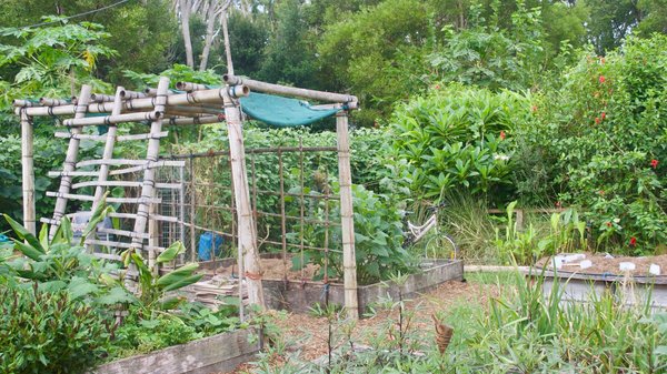 Comment créer un espace de permaculture adapté aux climats froids ?