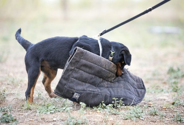 Avantages des gants en nitrile : protection et confort